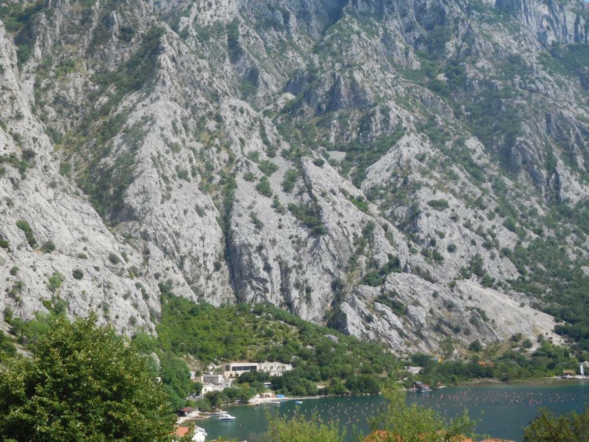 Villa Aronija Котор Экстерьер фото
